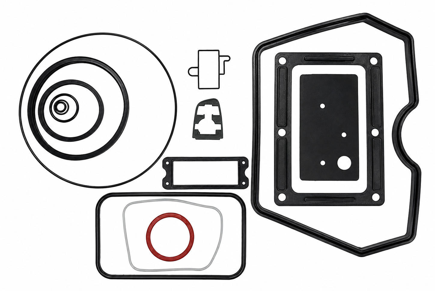 Seals and Gaskets